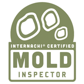 mold-web Home Inspections In Bradenton | 4-Point Inspections FL